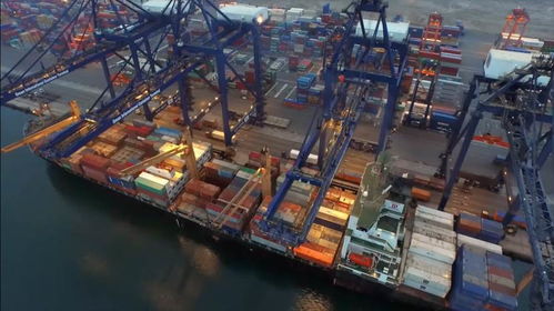 中国成全球资本 避风港 3年涌入近30000亿外资 意味着什么